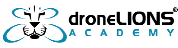 droneLIONS Academy - Fliegst du noch oder verdienst du schon?